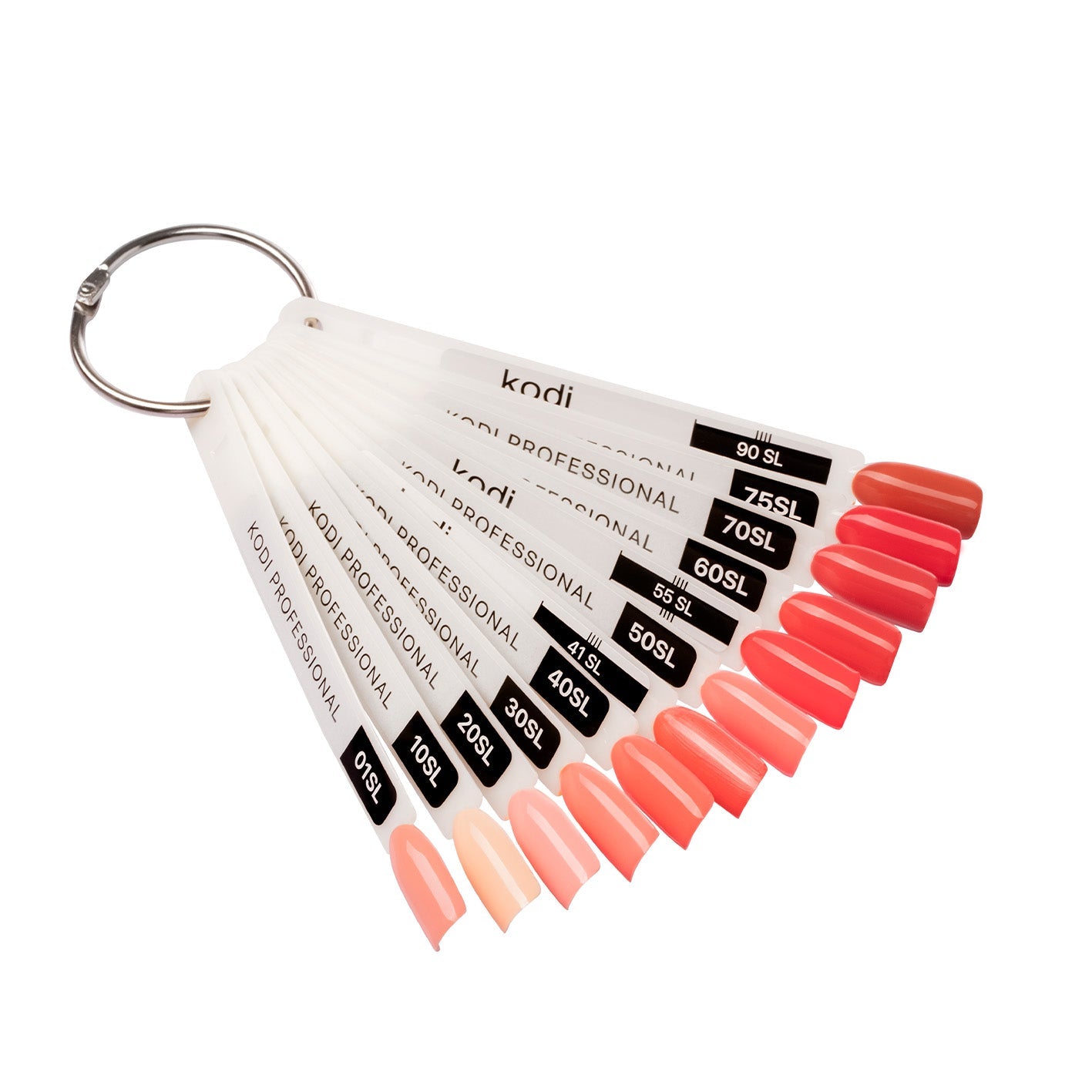 Salmon Collection Kodi Professional