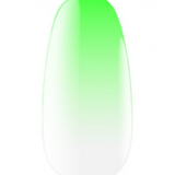 Express Ombre Spray, 14 Kodi Professional