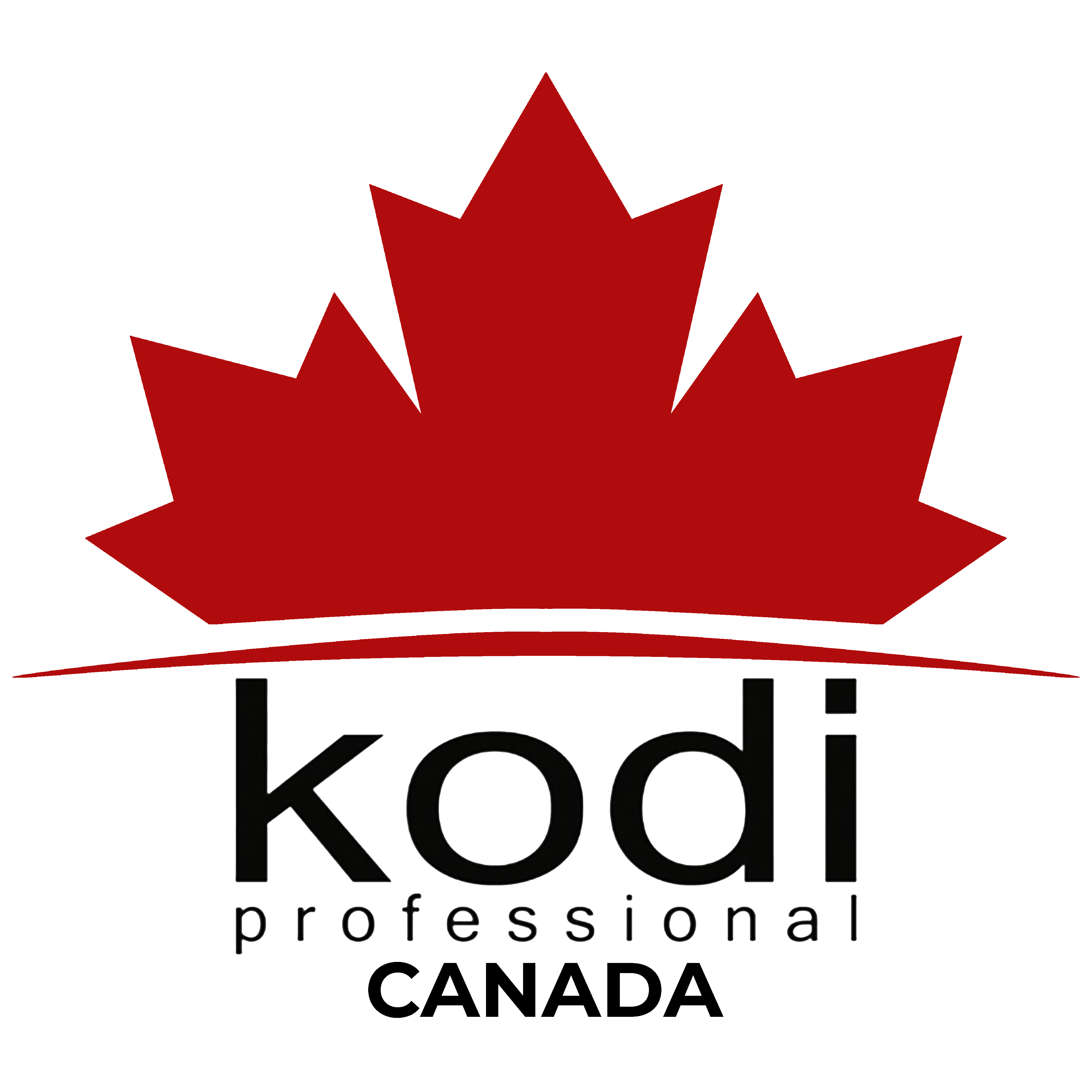 Kodi professional Logo