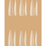 Top Plastic Form for Nail Extensions Stiletto Kodi Professional